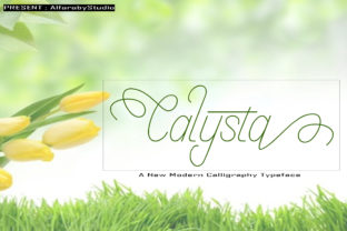 Calysta: Timeless Elegance for Clear, Confident Communication